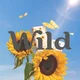 Wild Cosmetics Gratis-Hüllen-Angebot jetzt verfügbar